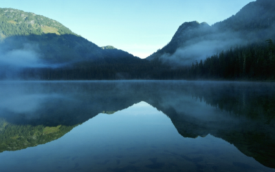 What worry can and cannot do for you